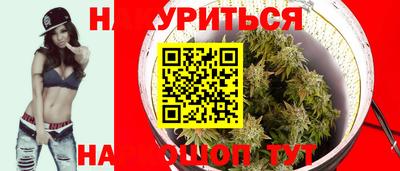 прущие грибы Чебоксары