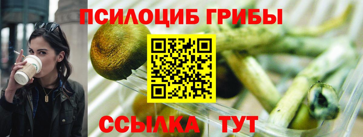 Медногорск  Псилоцибиновые грибы GOLDEN TEACHER  купить наркотик  Вход с VPN 
